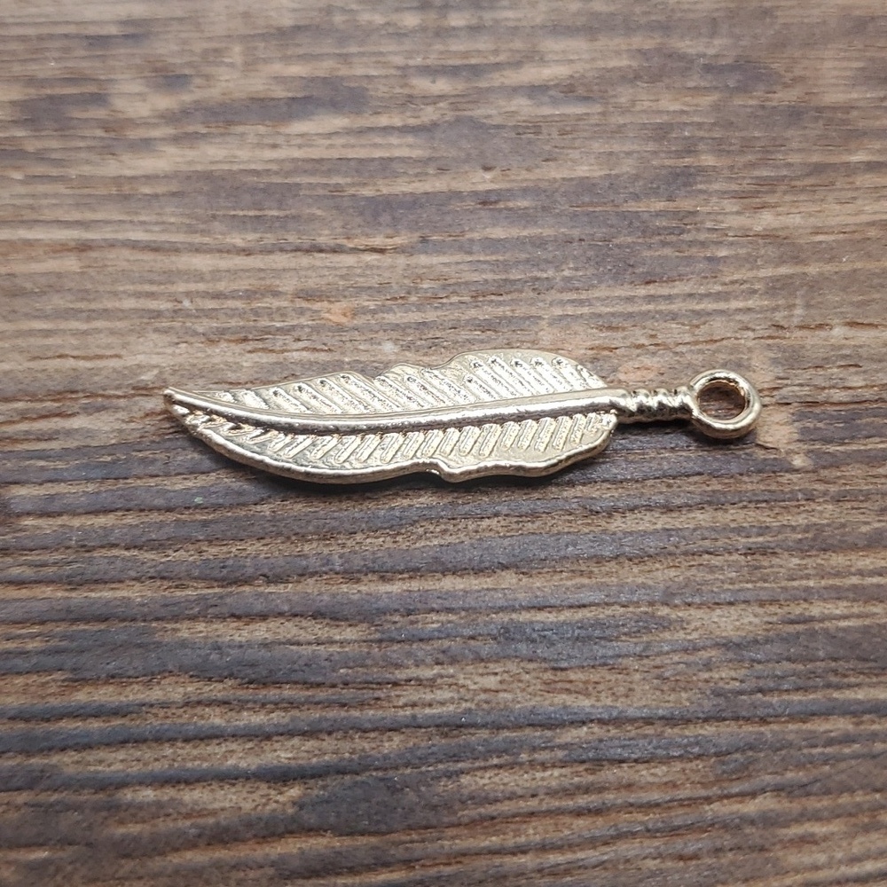 3/$20 P133 birds of a feather‎ charm